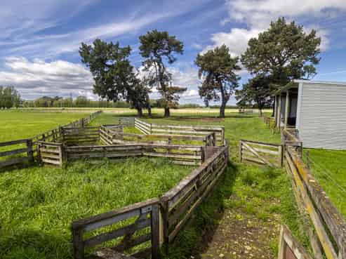 1007 State Highway 2, Masterton