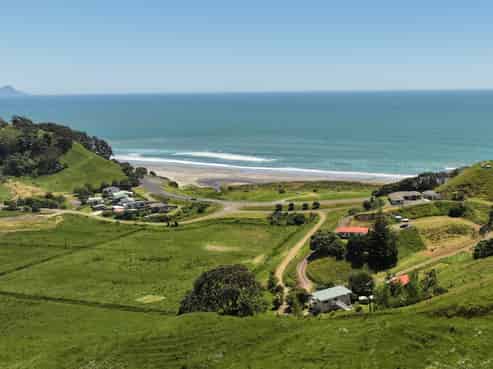 8 Pohutukawa Drive, Waiotahi