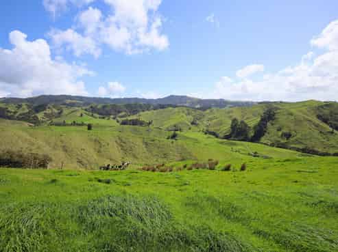 148 Mangawara Road, Kaihere