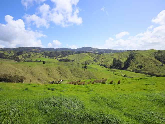 148 Mangawara Road, Kaihere