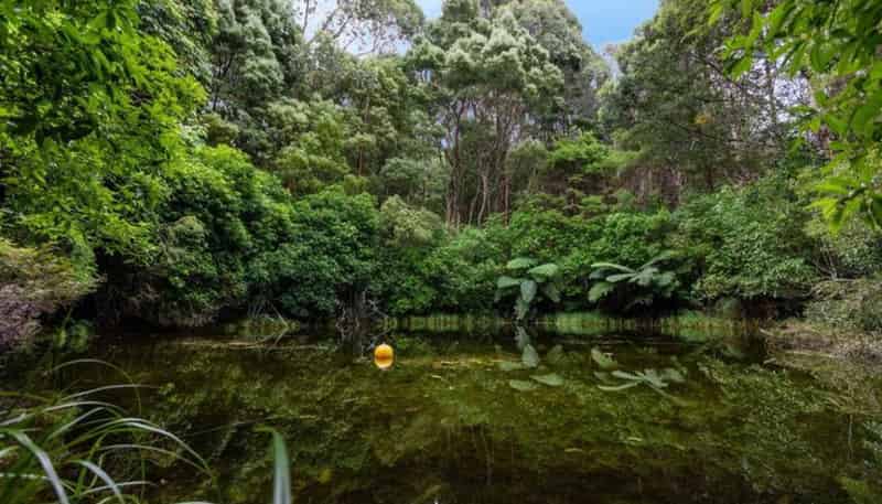 1863 Takaka-Collingwood Highway, Collingwood