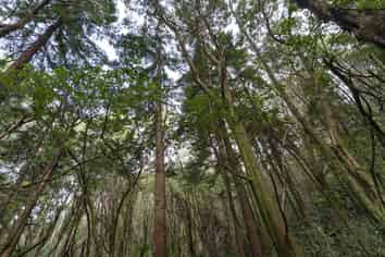 1863 Takaka-Collingwood Highway, Collingwood