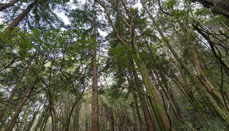 1863 Takaka-Collingwood Highway, Collingwood