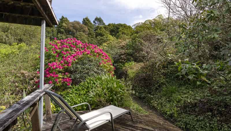 1863 Takaka-Collingwood Highway, Collingwood