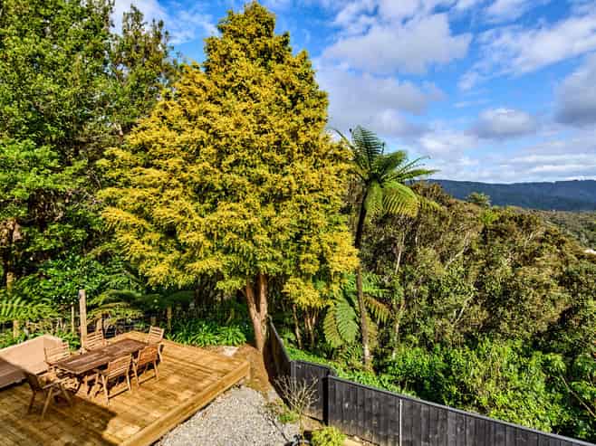 62 Lord Street, STOKES VALLEY