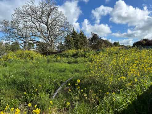 51B Fenton Street, Stratford