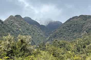 14 Pioneer Drive, Franz Josef Glacier