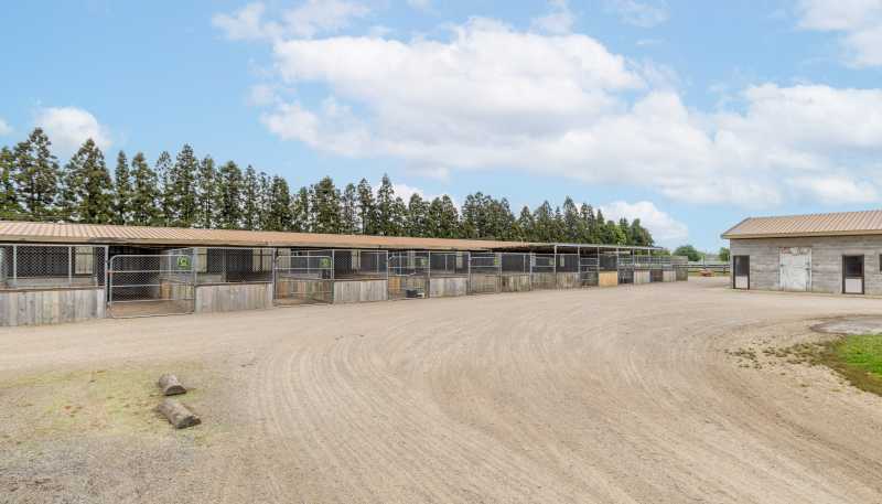 159 Banks Road, Matamata