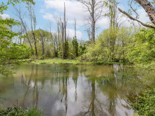 159 Banks Road, Matamata