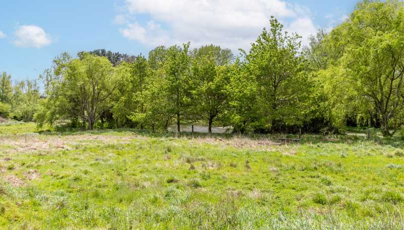159 Banks Road, Matamata