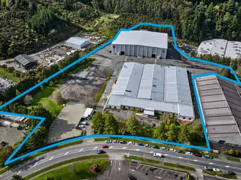 Step into the Spotlight