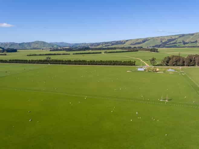  White Rock Road, Martinborough