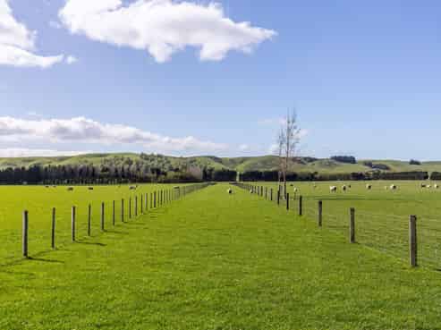  White Rock Road, Martinborough