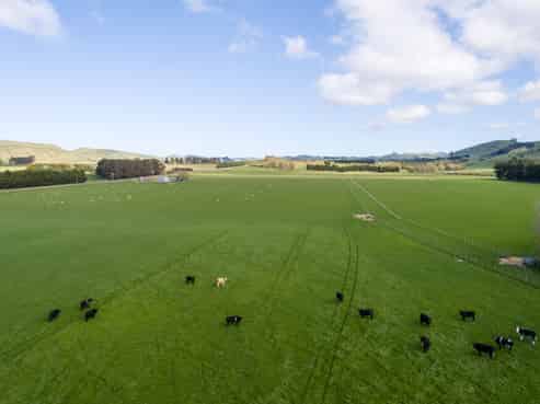  White Rock Road, Martinborough