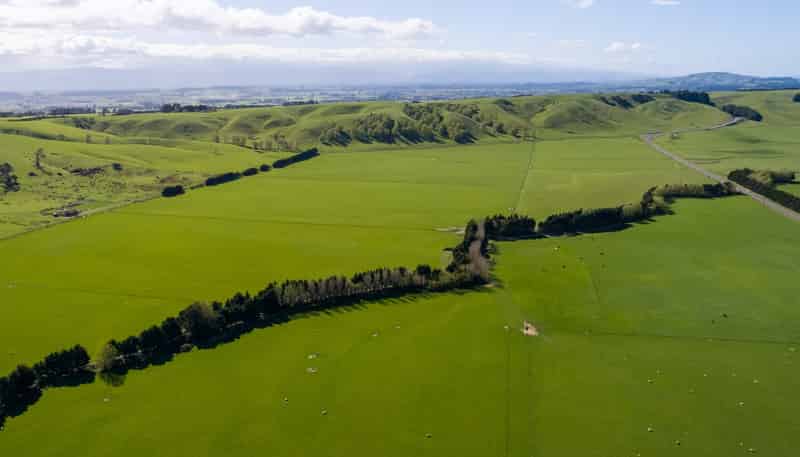  White Rock Road, Martinborough