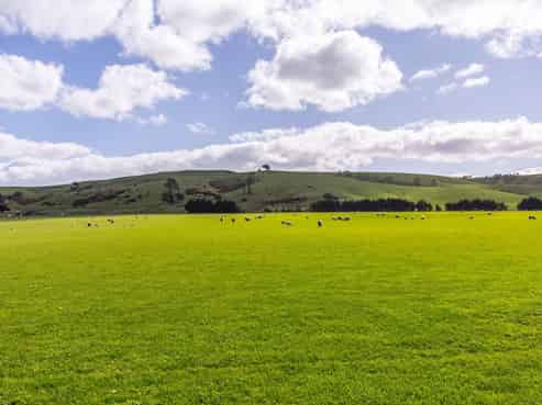  White Rock Road, Martinborough