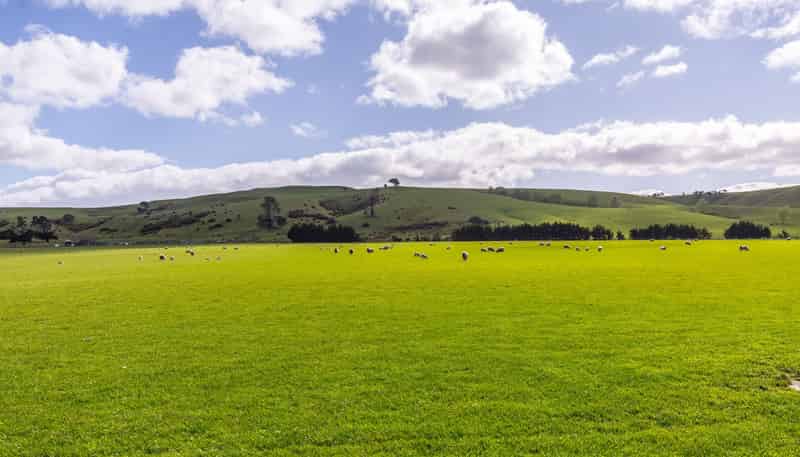  White Rock Road, Martinborough