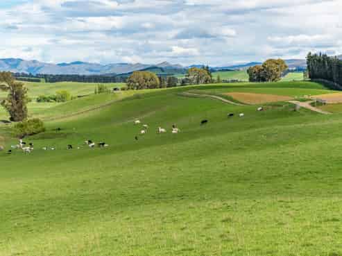 1443 Omihi Road, Omihi