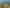 High Profile Grey Lynn Development Site