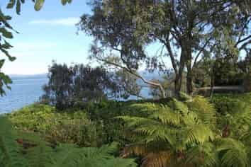 1/797 Acacia Bay Road , Acacia Bay
