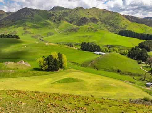 1157 The Peaks Road, Hawarden