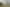12 Joyce Adams Place, Waimauku