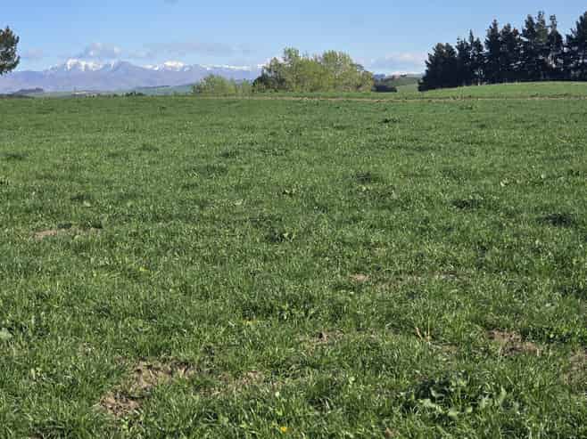 50 Simm Road, Cormacks