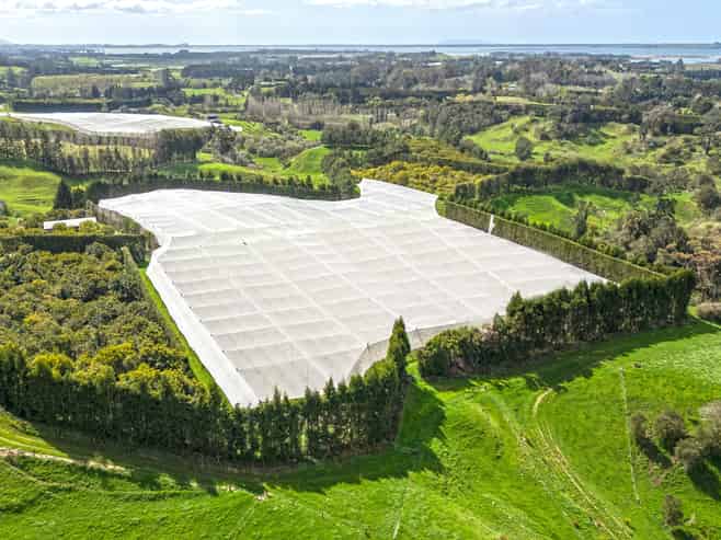 231 Walford Road, Aongatete