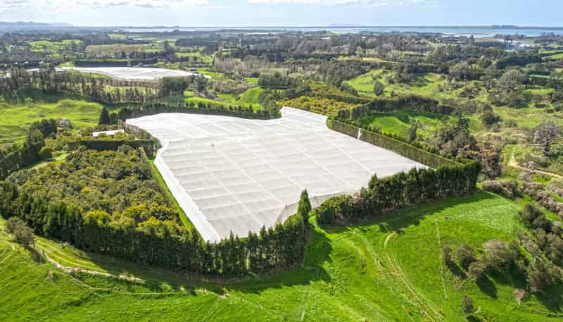 231 Walford Road, Aongatete