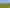 864 Hindon Road, Hindon