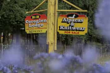 2221 SH25 Tairua-Whitianga Road, Coroglen