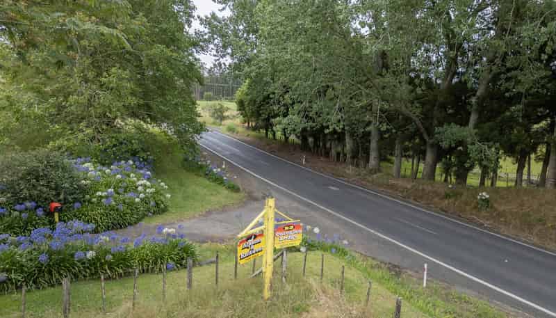 2221 SH25 Tairua-Whitianga Road, Coroglen