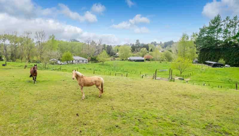 140H Tebbutt Road, Te Puna