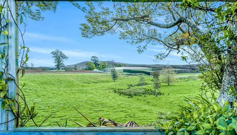 120 Mcgregor Road, OHAUPO