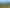 1801 East Coast Road, Whakatiwai