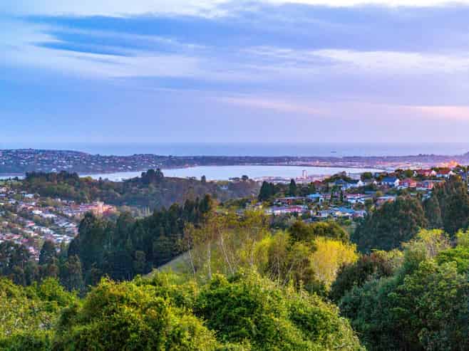8 Watkin Street, Pine Hill