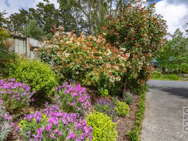 29 Cambridge Road, Riverhead