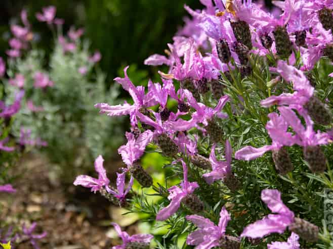 29 Cambridge Road, Riverhead