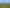Auckland - Address withheld