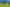 Auckland - Address withheld