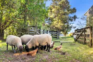 158 McLeod Road, South Head