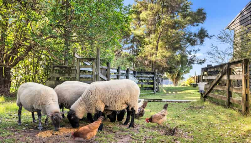 158 McLeod Road, South Head