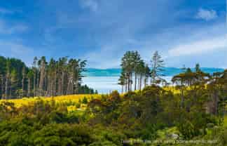 158 McLeod Road South Head, Helensville