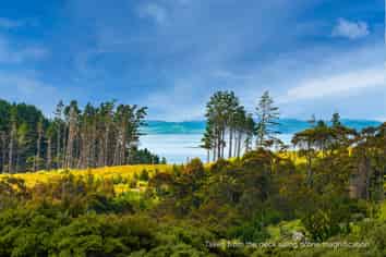 158 McLeod Road South Head, Helensville