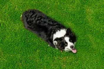 158 McLeod Road South Head, Helensville