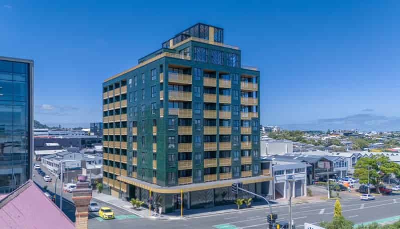 413/20 Williamson Avenue, Grey Lynn