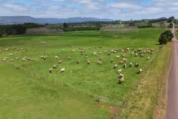 374 Rakauwahia Road, Kaikohe West