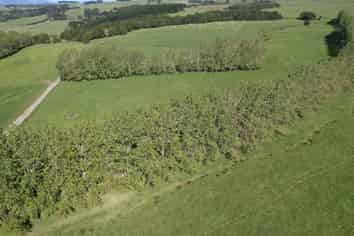 374 Rakauwahia Road, Kaikohe West