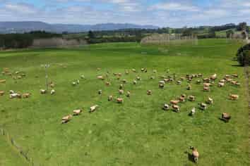 374 Rakauwahia Road, Kaikohe West