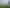 21 Christmas Road, Manurewa